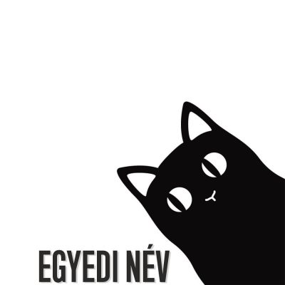 Macska dekoráció egyedi névvel