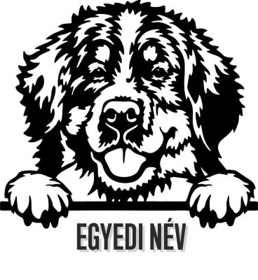 Egyedi neves Berni pásztor matrica