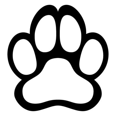 Border collie matrica 4