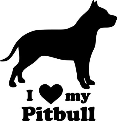 Pitbull matrica 13