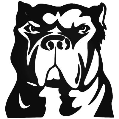 Szép Pitbull "2" matrica