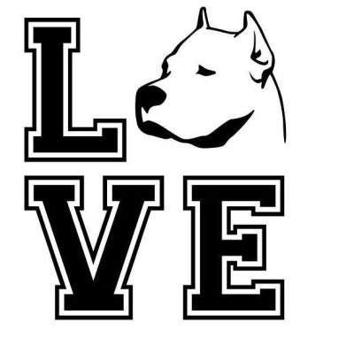 Argentin dog matrica 5