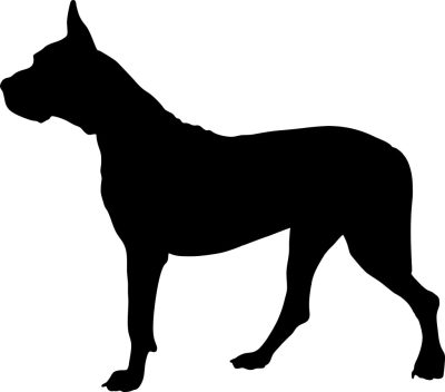 Argentin dog matrica 8