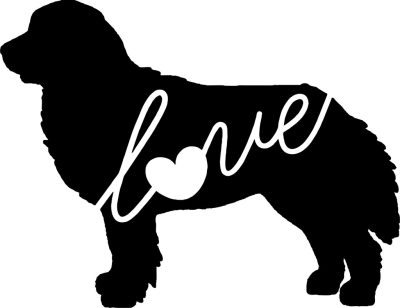 Berni pásztor matrica 6