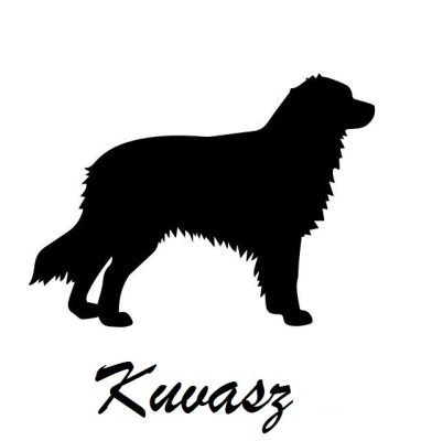 Kuvasz matrica 0