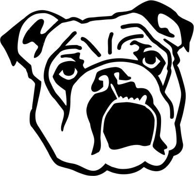 Angol bulldog matrica 2