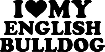 Angol bulldog matrica 21
