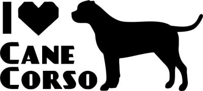 Cane corso matrica 11