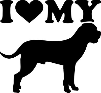 Cane corso matrica 6