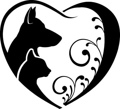 Dobermann matrica 16