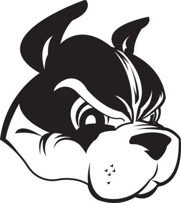 Boston terrier matrica 13