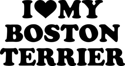 Boston terrier matrica 15