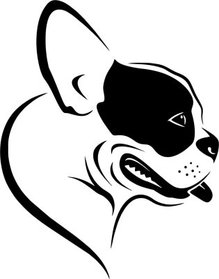 Boston terrier matrica 16