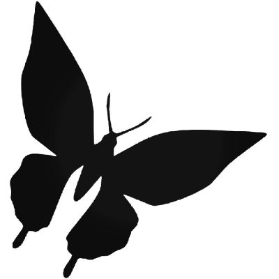 Pillangó 1 autómatrica