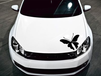 Pillangó motorháztető matrica