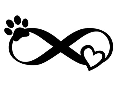 Jack russel terrier matrica 4