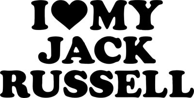 Jack Russel terrier matrica 8
