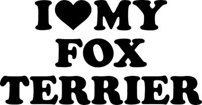 Foxterrier matrica 1