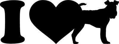 Foxterrier matrica 2