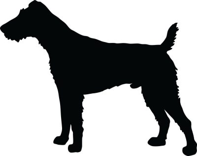 Foxterrier matrica 8