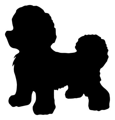 Bichon Frise matrica 3