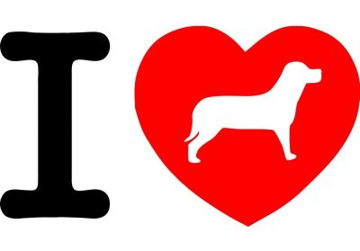I Love kutya matrica
