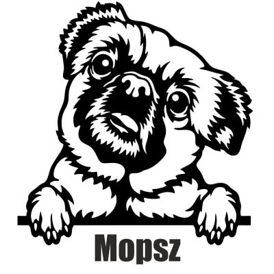 Mopsz matrica 27