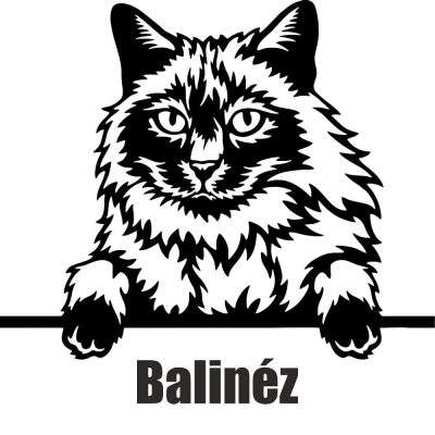 Balinéz macska matrica