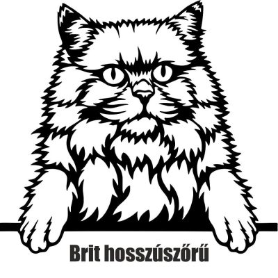 Brit hosszúszőrű macska matrica
