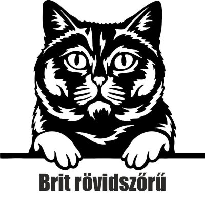 Brit rövidszőrű macska matrica