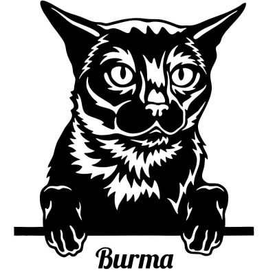 Burma macska matrica