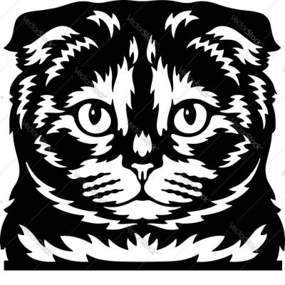 Díszes macska matrica 2