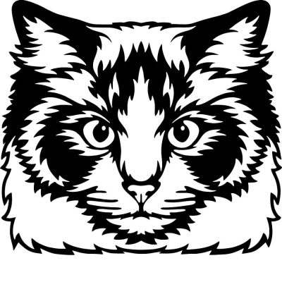 Díszes macska matrica 4