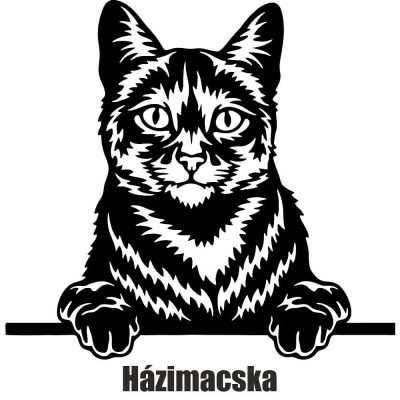Házimacska matrica