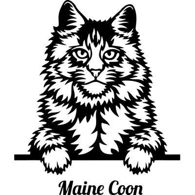 Maine Coon macska matrica