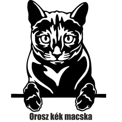 Orosz kék macska matrica