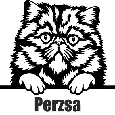 Perzsa macska matrica