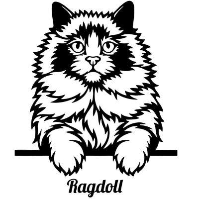 Ragdoll macska matrica