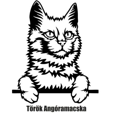 Török Angóramacska matrica