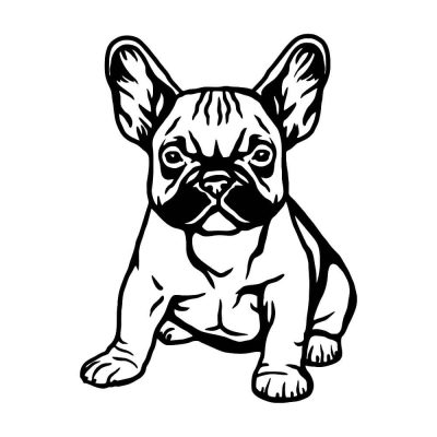 Francia bulldog matrica 23