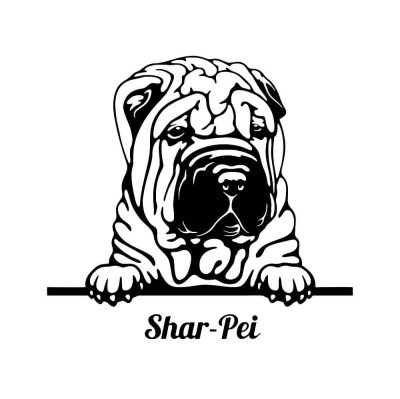 Shar pei matrica 16