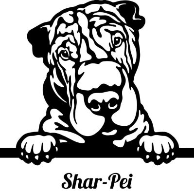 Shar pei matrica 17