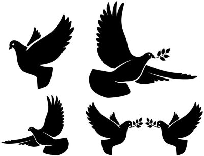 Madár szett matrica (30 cm)