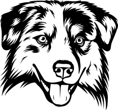 Ausztrál juhászkutya matrica 2