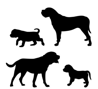 Angol masztiff szett