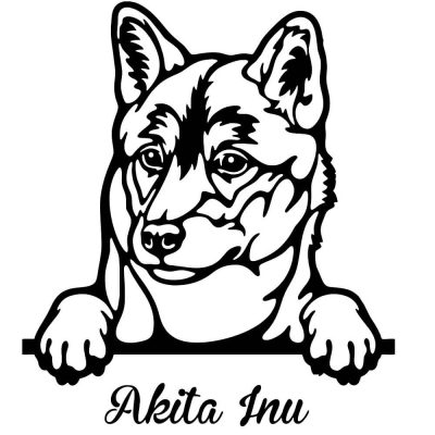 Akita inu matrica