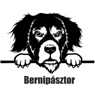 Berni pásztor matrica 9