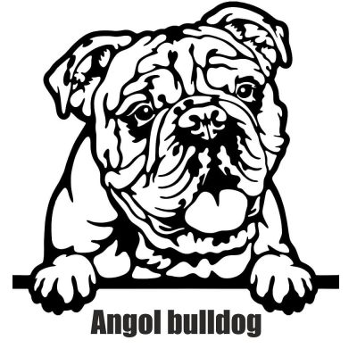 Angol bulldog matrica 30 cm