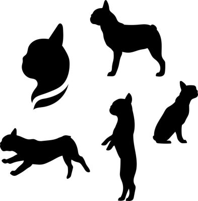 Francia bulldog matrica szett