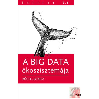 A BIG DATA ÖKOSZISZTÉMÁJA